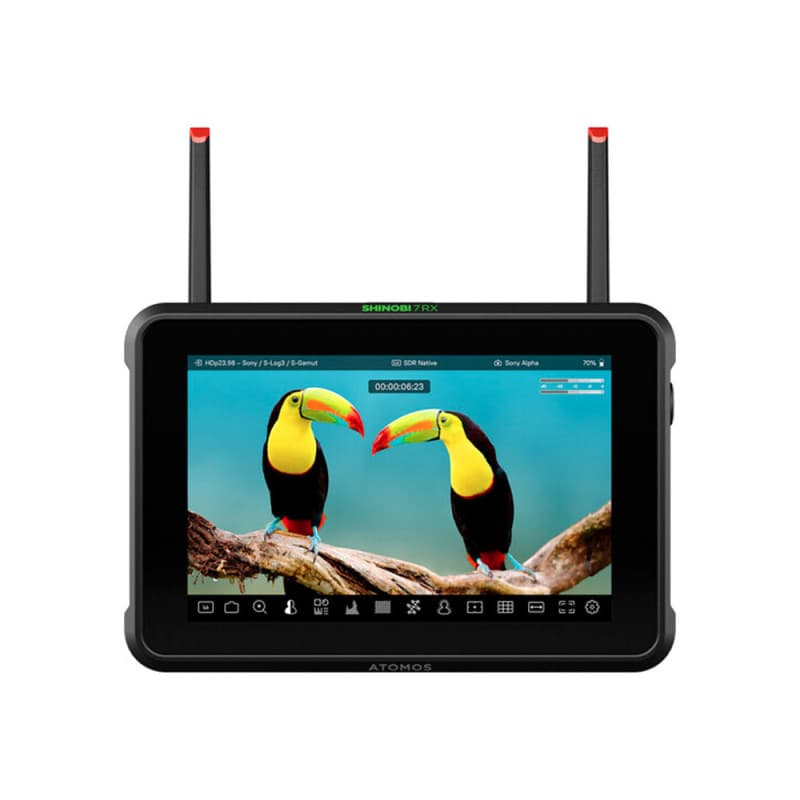 Atomos Shinobi 7" : photo du produit