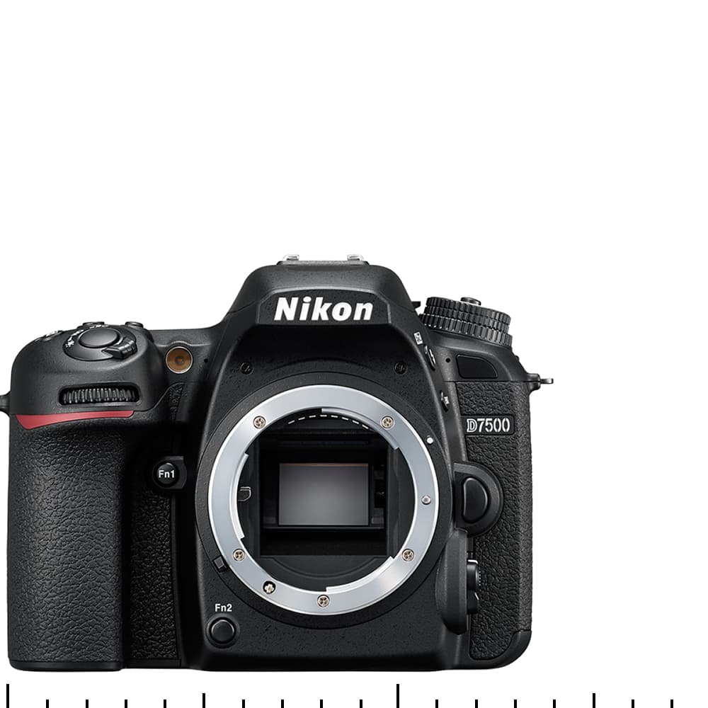 Nikon D7500 : meilleur prix et fiche technique
