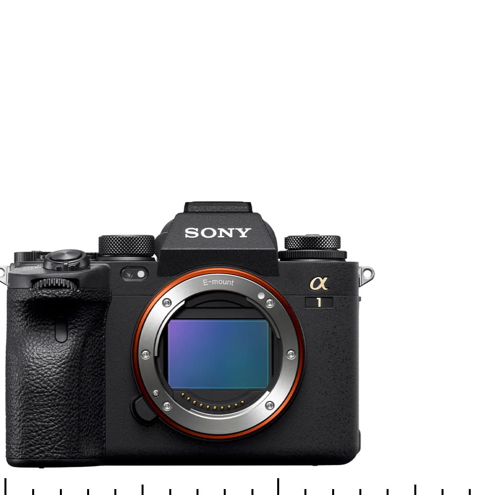 Sony A1 : meilleur prix et fiche technique